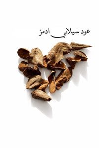🌿 عود سيلاني آدمز